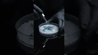 Quantum Fluid Sparks Hypnotic Frozen Fractal ASMR