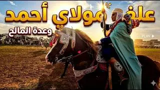 مشاوير علفة مولاي أحمد من بلدية المساعيد ولاية عين تموشنت | وعدة المالح 2025 🔥🐎