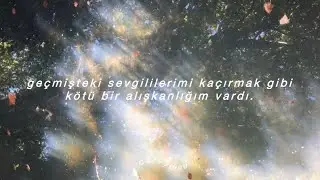 taylor swift - opalite (türkçe çeviri)