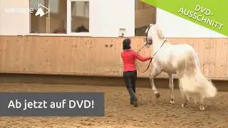 Gymnastizierende Arbeit an der Hand | Kathrin Roida