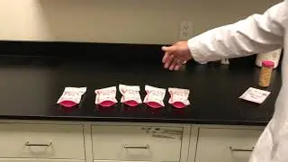 Pink Zebra - Blending Bag Capacity Explained