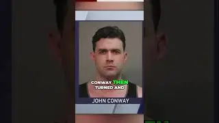 Marine Veteran Arrested After Fatal Shooting in Chicago Park 🔫