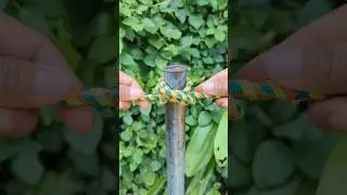 Learn New Everyday Of Rope Knot. #shorts #Rope #constrictorknot
