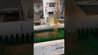 YUNHAN 800kg/h sawdust flat die pellet machine with 55kw motor @ #pelletmachine#pellets #technology