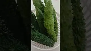 2025년 8월 2일