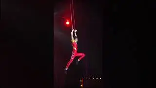 Unforgettable Moments: Interactive Circus Show at Taman Safari Prigen East Java Indonesia