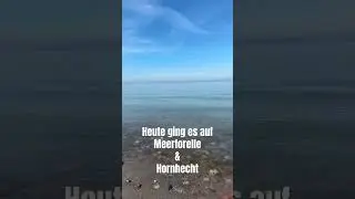 Meerforellen & Hornhecht angeln an der Ostsee #angeln #angel #fishing #fish #fishingvideo