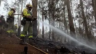 Feuerwehr im Flammeninferno: Was wir von Spanien lernen können