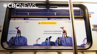 Why the TTC is considering advertising on subway tunnel walls