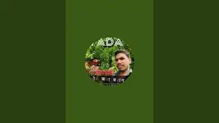 Pappu vlogs dj लाइव है!