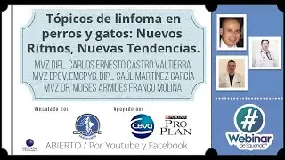 Tópicos De Linfoma En Perros Y Gatos: Nuevos Ritmos, Nuevas Tendencias