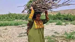 Rural life in Iran: Building a traditional shelter in the desert, the daily life of a rural woman