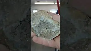 The Geode Is WILD! #quartz #crystals #gems #nature #geodecracking