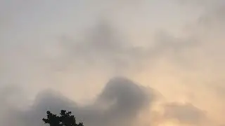 If Your Mind Feels Heavy, Stay Here (Healing Music LIVE)