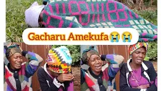 GACHARU AMEKUFA😭😭