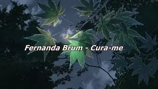 Fernanda Brum - Cura me ( Com Letra )