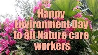 World Environment day status | World Environment day WhatsApp Status | World Environment day status