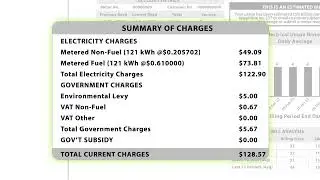 Grenlec Bill Redesign