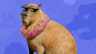 A CAPYBARA Guide for Newbies.  #telegram #web3 #notcoin #tapping #tapswap #learning #viral