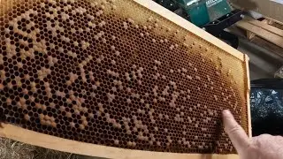 Preparing for New Bees, Spring 2023