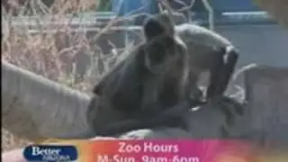 Animal Nursery at Wildlife World Zoo & Aquarium