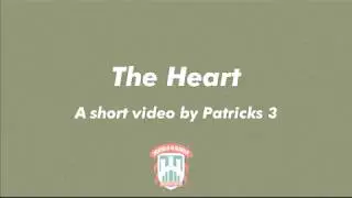 How The Heart Functions - St. Brogans | ReelScience 2017
