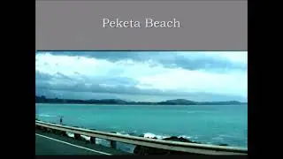 New Zealand Campervan Holidays Highlights 10 The Kaikoura Coast and Peketa Beach 2010