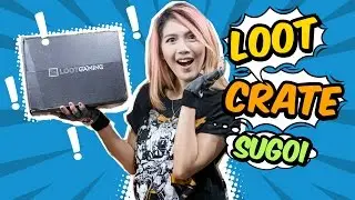 UNBOXING MY FIRST LOOT CRATE!!! - Vlog #6