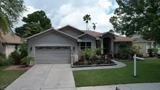 Best Realtor St Pete Fl
