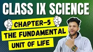 Ch-5 The Fundamental Unit of Life Most Important Questions|Class 9 Science Most Important Questions🔥