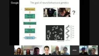 OpenWorm Journal Club: Body Language of a Worm