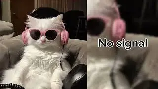 Audios you might be looking for #1