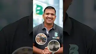 ब्लू कॉपर फंगीसाइड | blue copper fungicide uses in hindi | #fungicides #bluecopper #shorts