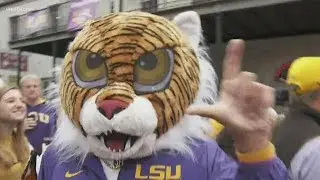 Hundreds of LSU Tiger Band Alumni march through New Orleans