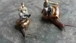 Yes you can do