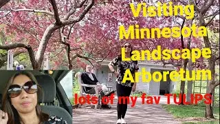 Visiting Minnesota Landscape Arboretum @lifeinamericawithnelia / Travel vlog / nature trip