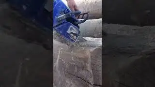 Un lanț ascuțit bine!
