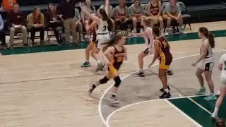 Watch Now: Big Spring's Megan Zimmerman adds to Bulldogs' lead at York Tech