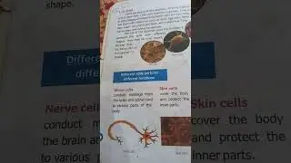 Cell and their discovery. DIFFERENT cell types . Class6 science#ignore#camera #lecture #easy#viral  
