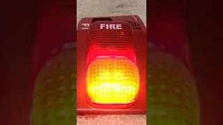System Sensor P2475RLZ Chinese Classic Fire Alarm Test (Device from @Nicsou77)