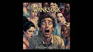 Wanksock - What Came Over Me?