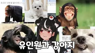 [독케익] 동물 저챗 2개