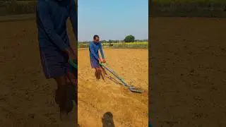 #potatofarming #potato #farming #shorts #vlog #song #music #viral #shortvideo #farming101 #minivlog