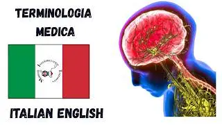 10  Italian-English language proficiency test BTLPT bilingual Medical terminology