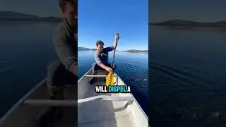 Multi purpose paddle