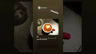 Baristakurs f&uuml;r Anf&auml;nger