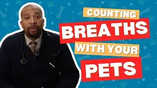 Counting Breaths with your Pets