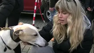 GACI - 17 Febbraio 2024 - Arrivo Greyhound