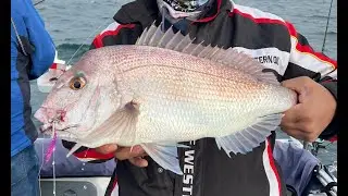 Early Season Snapper Fishing Bellambi