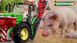 LS19 HOF BERGMANN #156: Winterweizen drillen und FERKEL im Schweinstall! | FARMING SIMULATOR 19